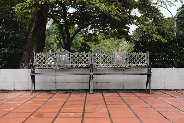 A bench woken up on the Opal Coast