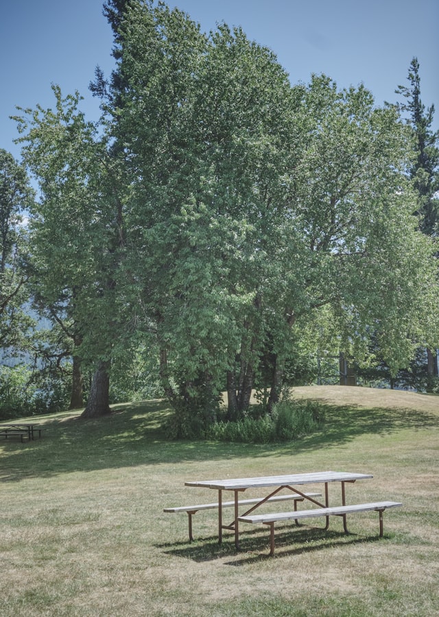 Some benches are worth the trip