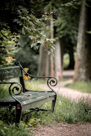 Your collection, bench after bench